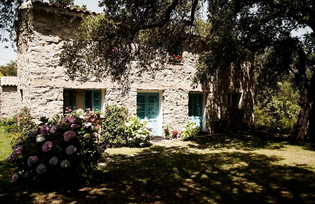 Agriturismo Casteddu-1